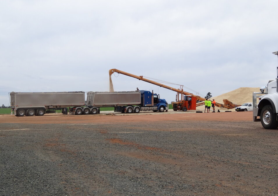 Grain is removed using an auger to pour it into a semi trailer at a Ceres Agricultural Company grain bunker site in northern NSW
