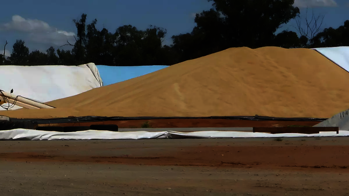 A grain bunker with an earthen wall located in rural NSW, Australia.