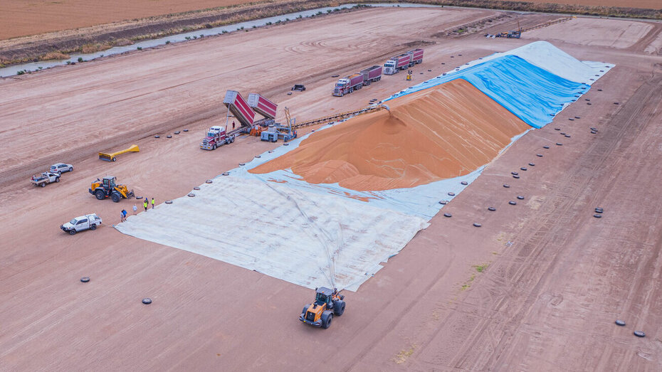 Sorghum gets poured into a grain bunker and covered with a grain bunker cover.