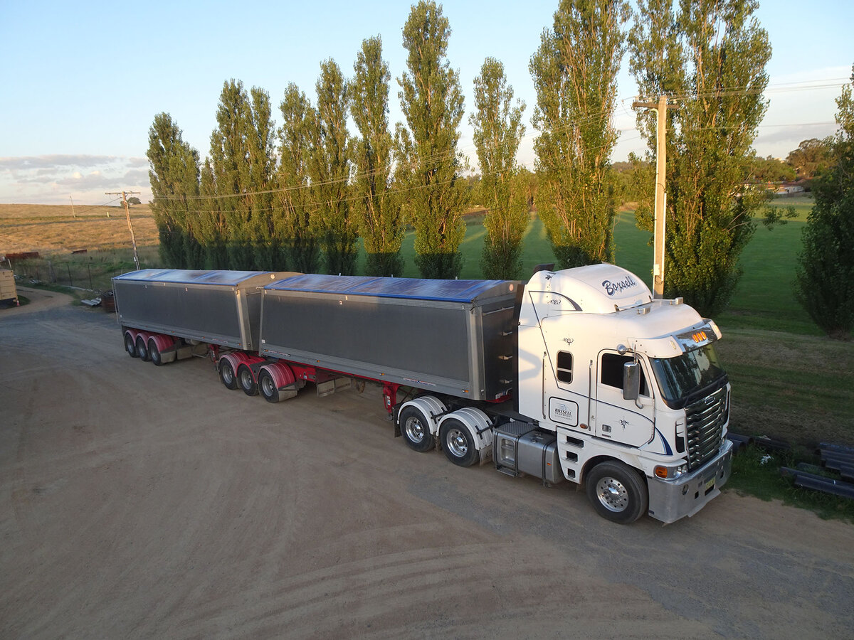 A grain truck and trailer is parked on a dirt road lined with tall thin trees.