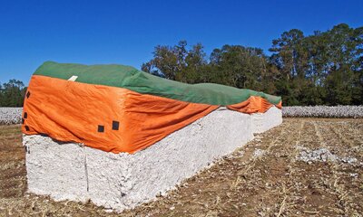 Cotton modules in a freshly harvested paddock