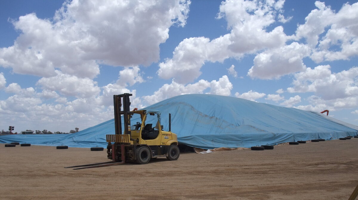 An Ellis and Sons Group grain bunker tarp cover fitted using a forklift and secured with concrete filled tyre weights