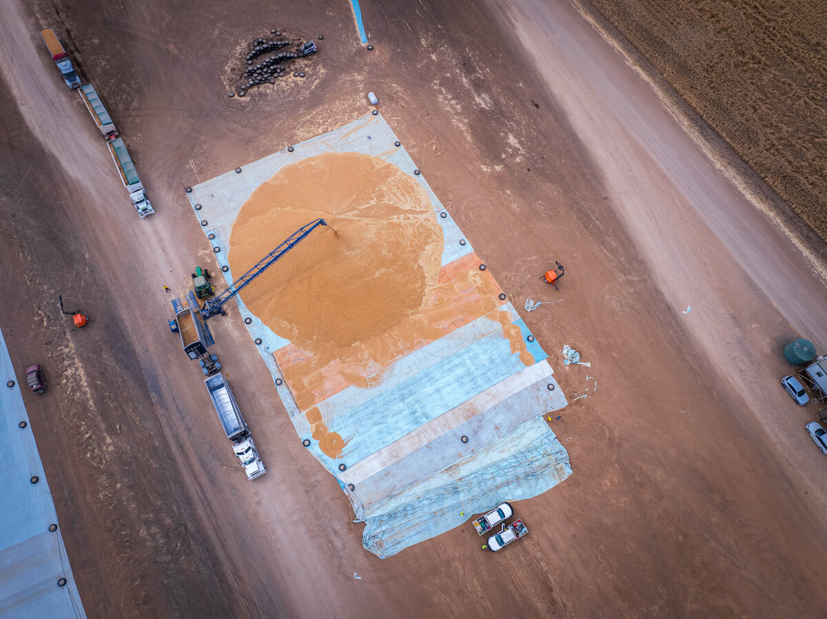 Grain bunker at Boolcarroll, NSW, with an Ellis and Sons Group ground sheet.
