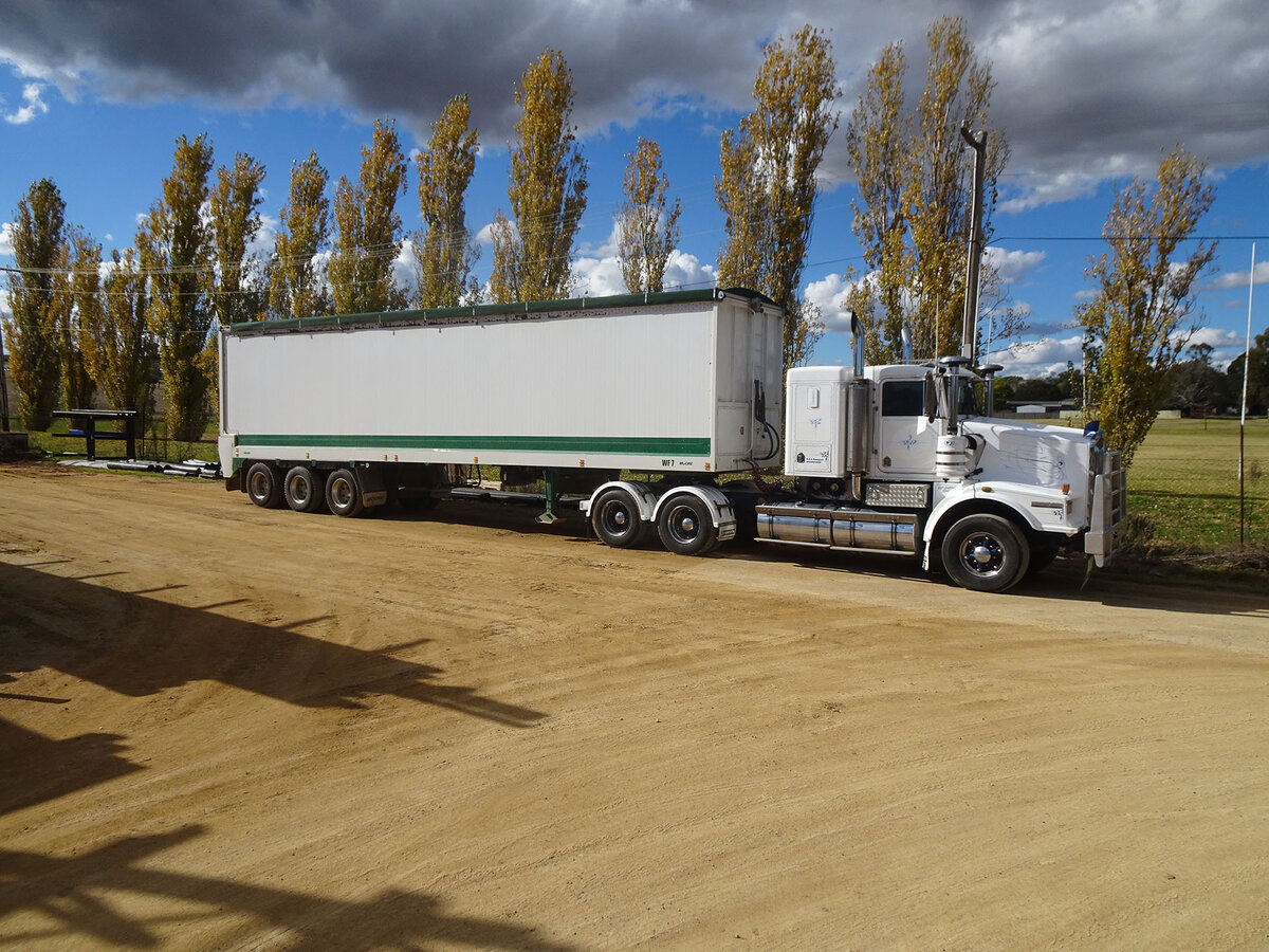 A truck parked on a dirt road in front tall thin trees lining a fence