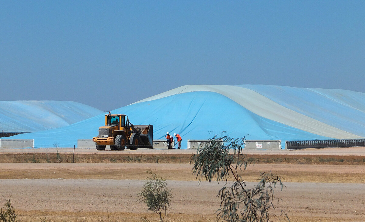 Large grain bunker with blue cover. Two men are standing beside it. A yellow front loader is to the left of them.