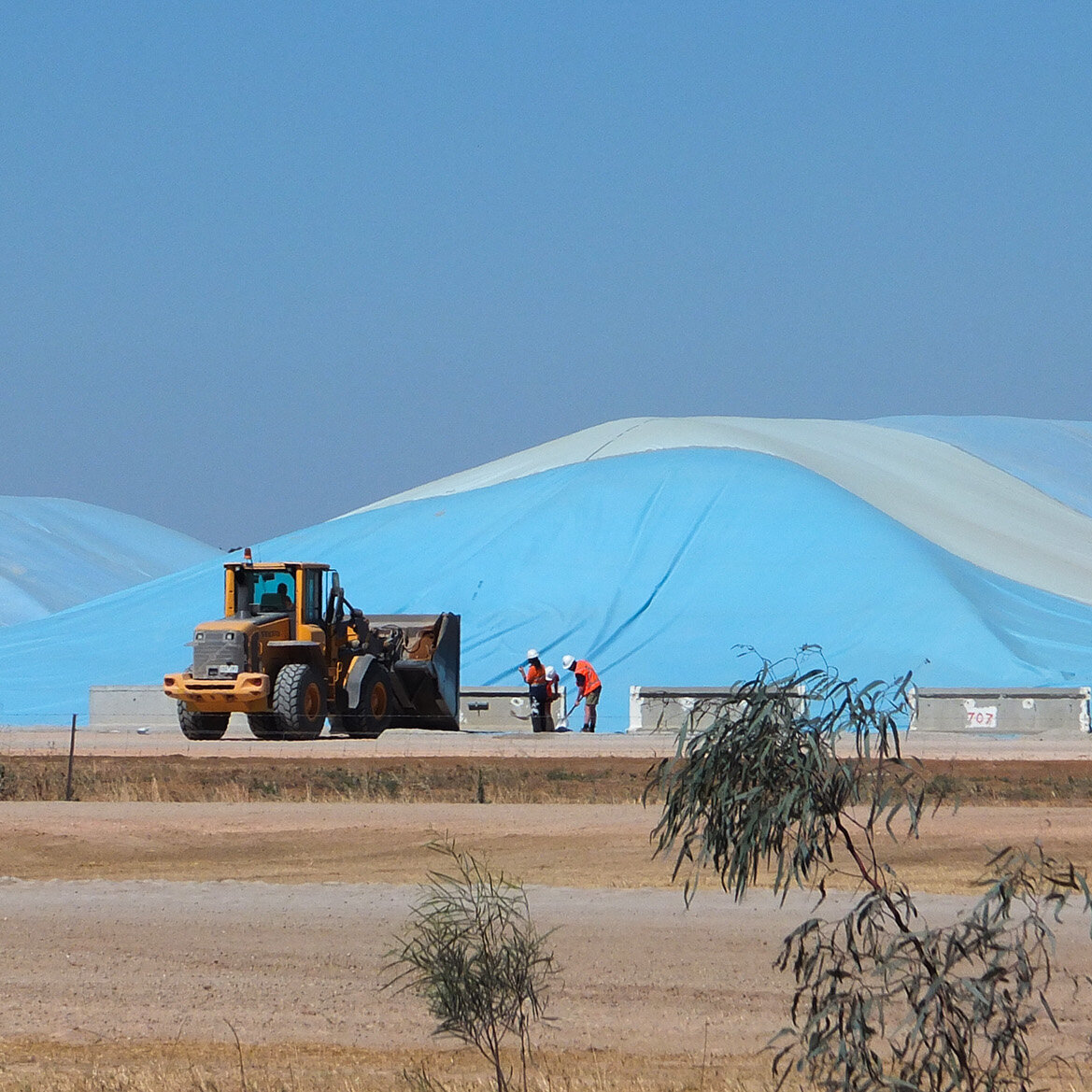 Large grain bunker with blue cover. Two men are standing beside it. A yellow front loader is to the left of them.