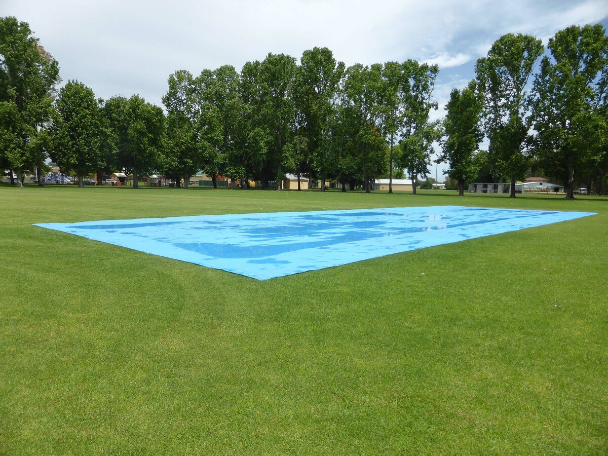 blue cricket pitch cover on the grass