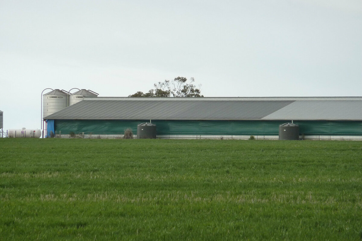 Long animal shed with Tail-Wind curtains