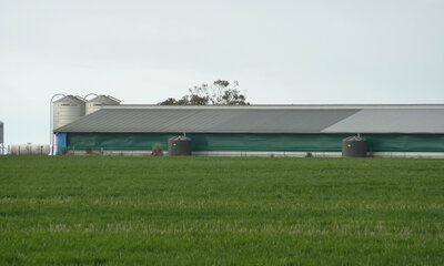 Long animal shed with Tail-Wind curtains