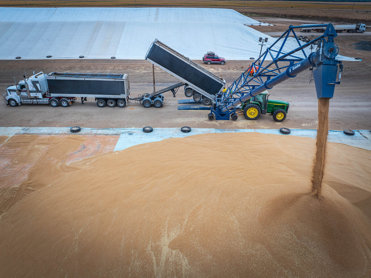 A grain bunker in Boolcarroll, NSW, near Narrabri, NSW, using Ellis & Sons Group grain bunker tarps, gets filled by an auger.