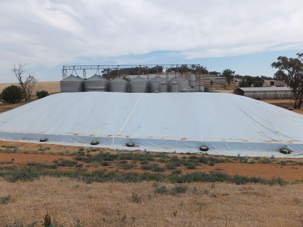 GrainSafe cover on a grain bunker in a brown paddock